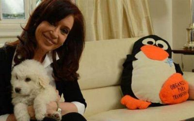 Militante pilarense le regal� un ping�ino de peluche a Cristina Kirchner y ella lo agradeci� en su regreso