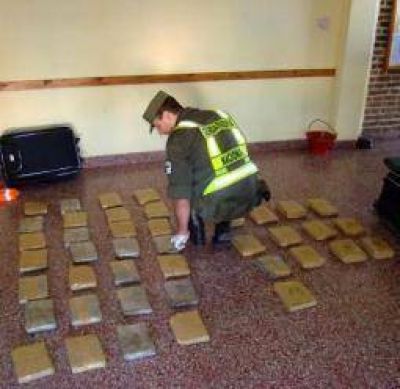 Detectan 50 kilos de marihuana que ten�an como destino La Rioja