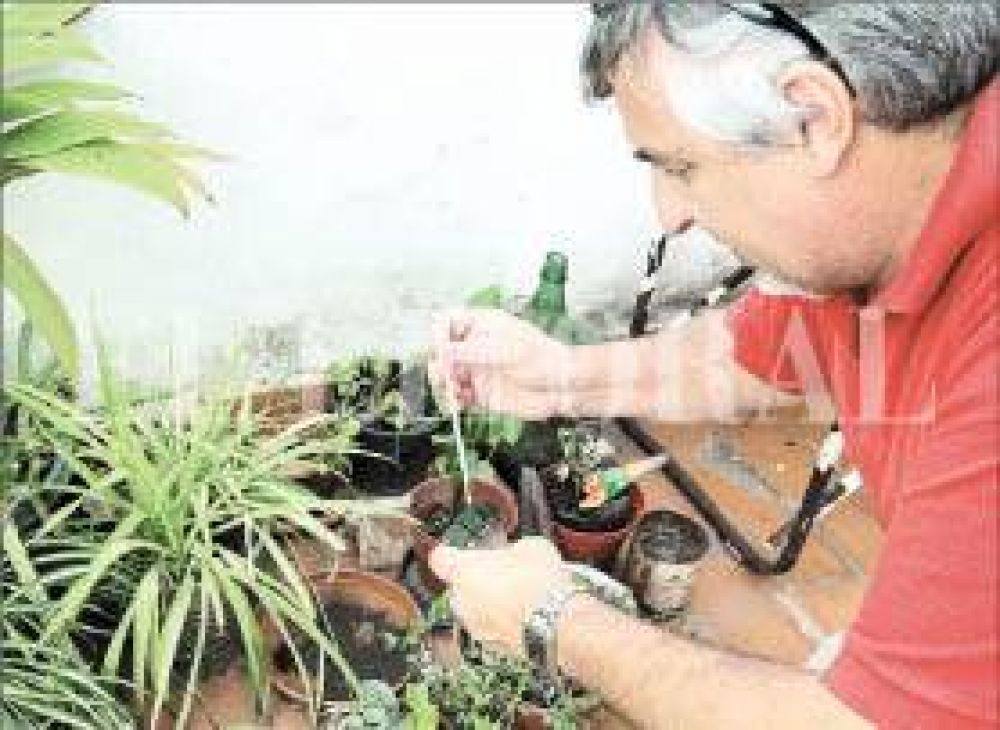 Dengue: empez� el relevamiento larvario