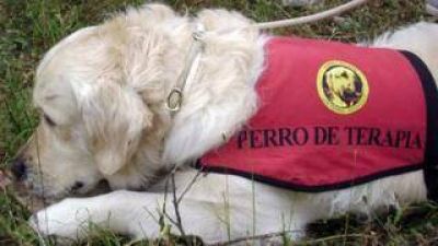 1eras Jornadas sobre Terapia Asistida con Perros