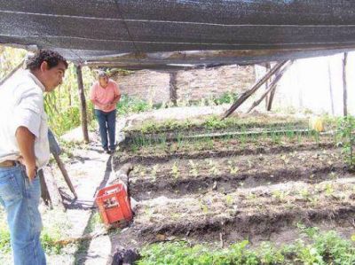 La producci�n agr�cola local se redujo un 15%