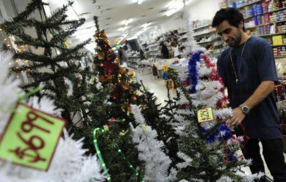 Los precios para los arbolitos de Navidad van desde los 36 a los 1200 pesos