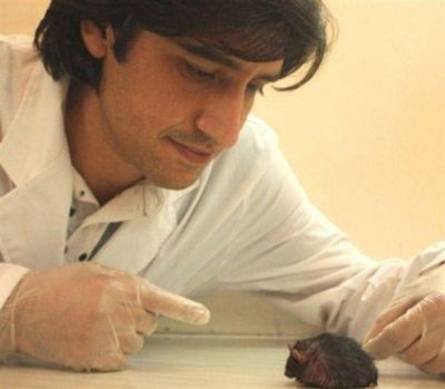 El Cientifico pehuajense Mario Perell� disert� en USA