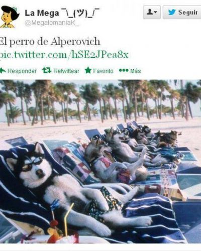 Alperovich tambi�n tiene un perrito