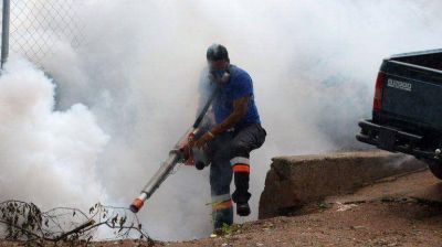 Son 573 los muertos por dengue en Brasil, el doble que en 2012