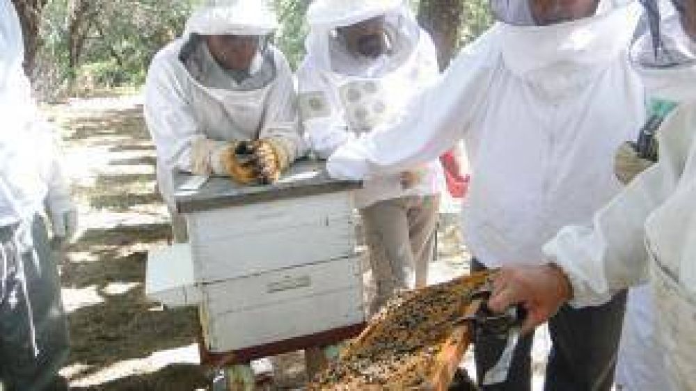 Finaliz� la capacitaci�n de formadores ap�colas