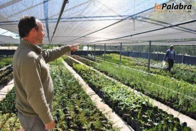 El Vivero Municipal alcanz� una �producci�n continua y constante�