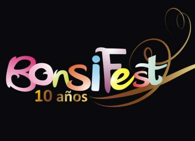 Bonsifest 10 a�os: se lanz� una edici�n para festejar a lo grande