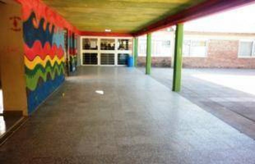 Por avispas, suspendieron hasta el martes las clases en la escuela 7
