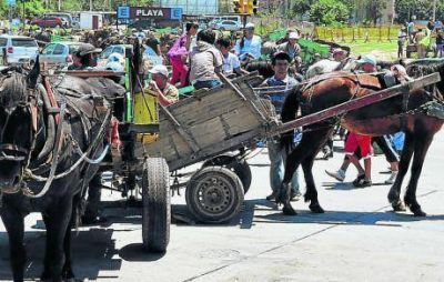 Los carreros podr�an convertirse en limpiadores de desag�es