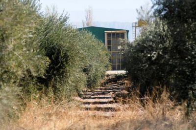 Manzur admite que posee acciones en una aceitera