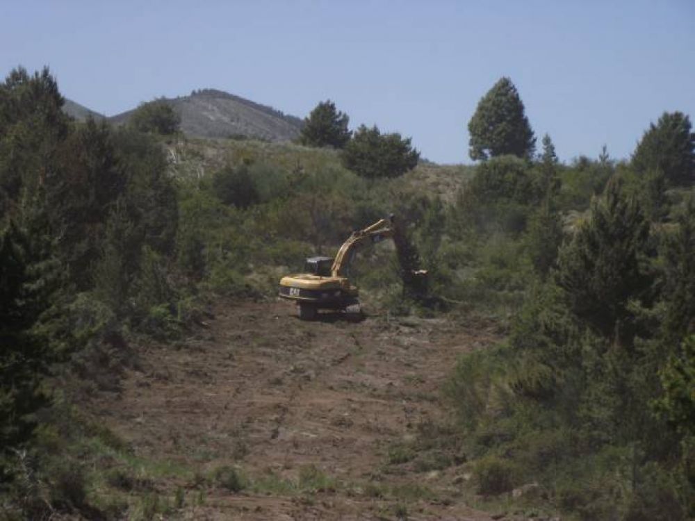 Preparan los terrenos para comenzar a construir las 121 viviendas