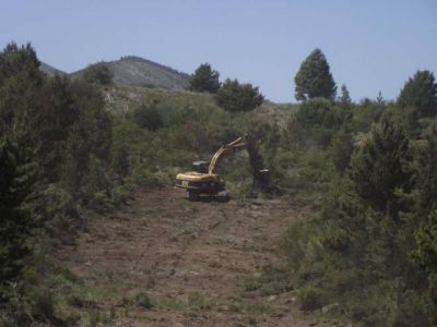 Preparan los terrenos para comenzar a construir las 121 viviendas