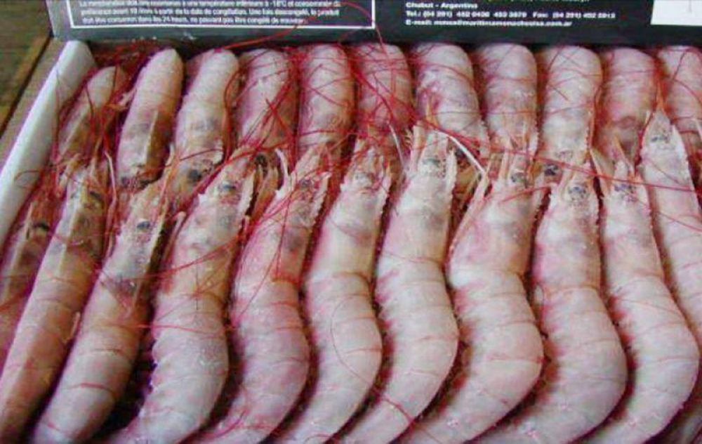 Comercializar�n pescados y mariscos a precios populares