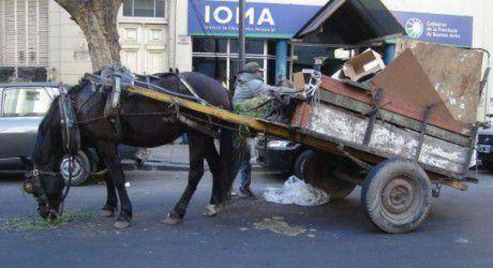 Cartonero: el �nico empleo que crece en Mar del Plata; en breve limpiavidrios y franelitas