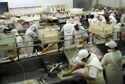 AFIP realiza operativos contra la marginalidad laboral en el puerto  