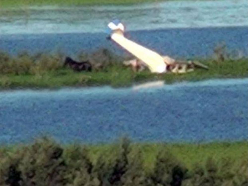 Aviaci�n Civil investiga la ca�da de la avioneta en las islas frente a Rosario