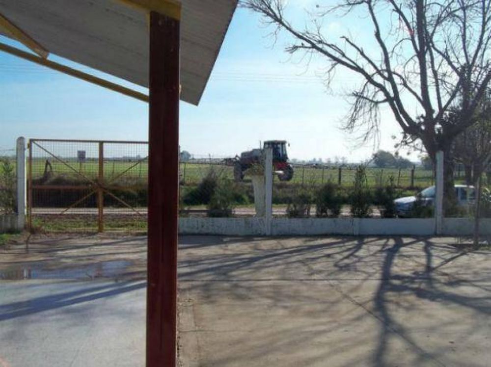 Amsaf�: "Piden que escondan a los alumnos en la escuela porque van a fumigar"
