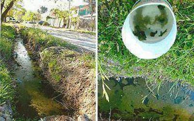 Dengue: alertan sobre obras inconclusas que atraen mosquitos