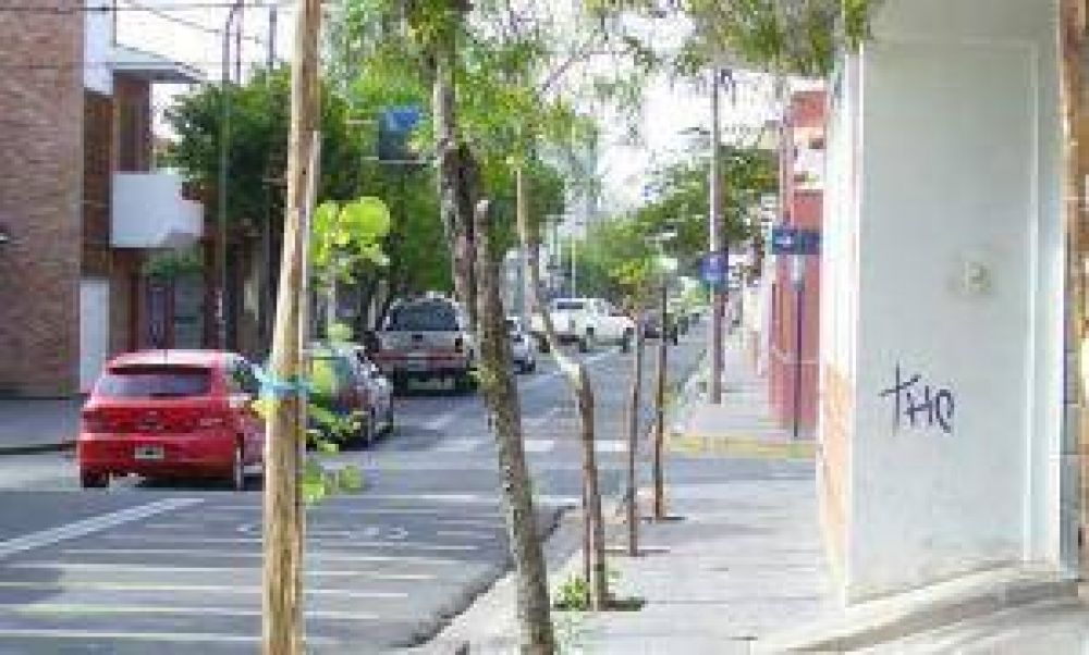 Contin�a la forestaci�n en el Casco C�ntrico