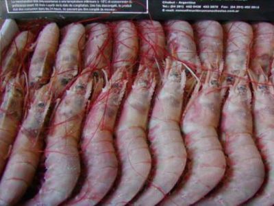 Pescados y mariscos a bajo costo