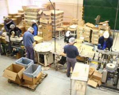 Lanzaron subsidios para emprendedores ingeniosos