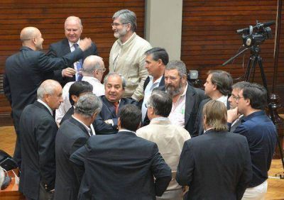 Isolda Calsina: �M�s impuestos, menos seguridad�