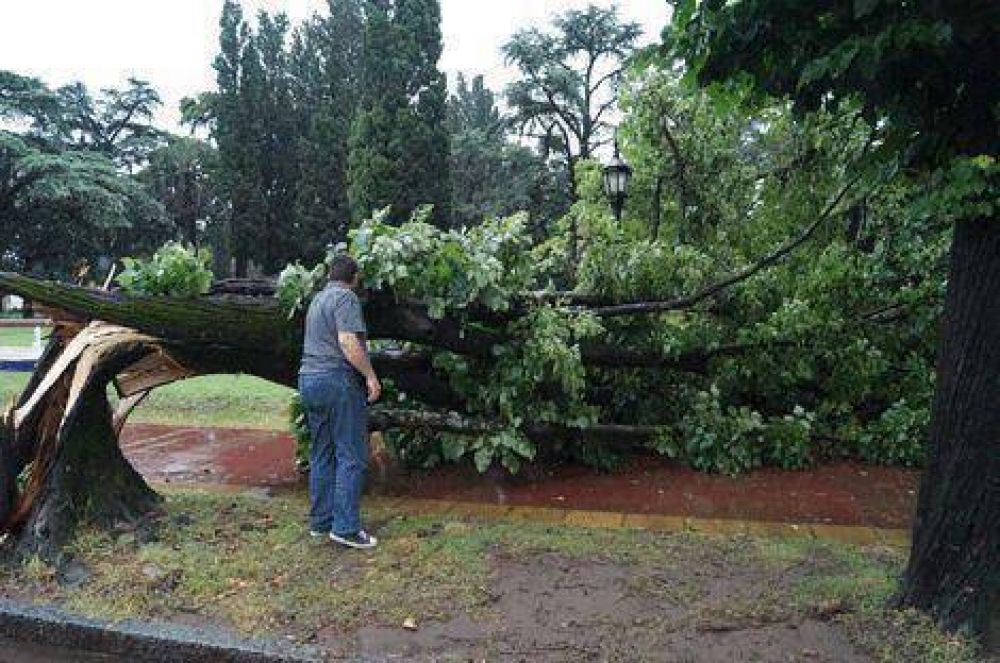 La tormenta afect� a casi todos los barrios con voladura de techos, ca�da de �rboles y cortes de cables 