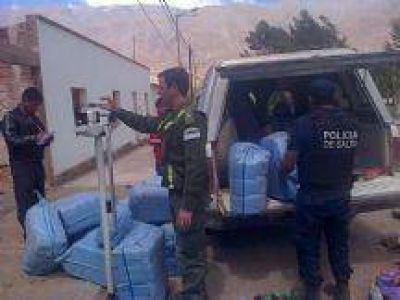 Gendarmer�a secuestr� 719 kilos de hojas de coca y detuvo a un hombre en Salta