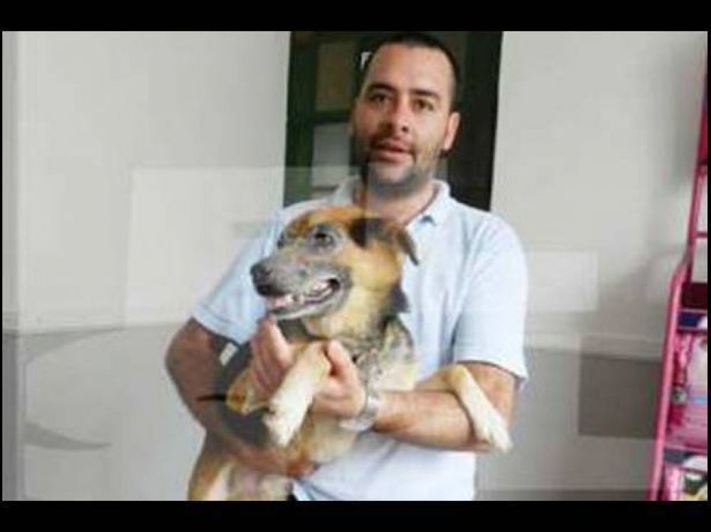 El perro que fue salvajemente maltratado, se recupera favorablemente