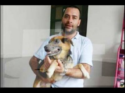 El perro que fue salvajemente maltratado, se recupera favorablemente